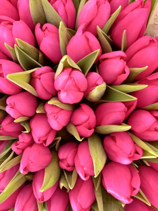 8. Marta ziedi nr 1.