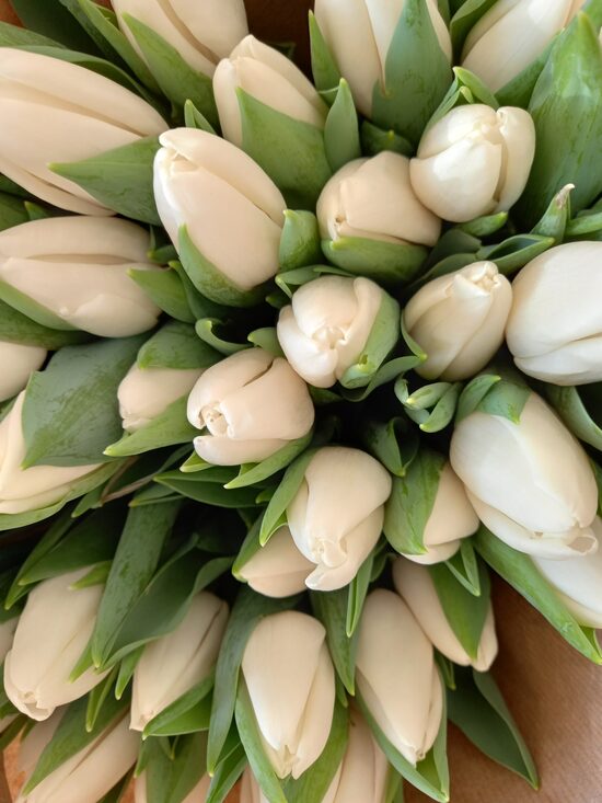 8. Marta ziedi nr 3.